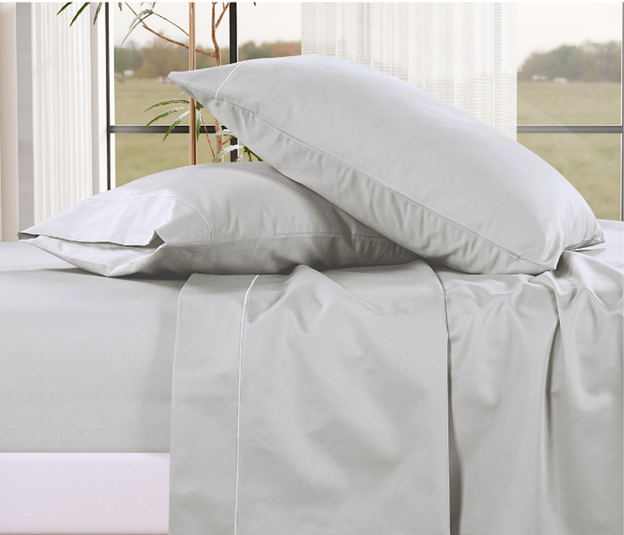 1000 Thread Count Egyptian Cotton : Silver Pillow Case - 2 Piece